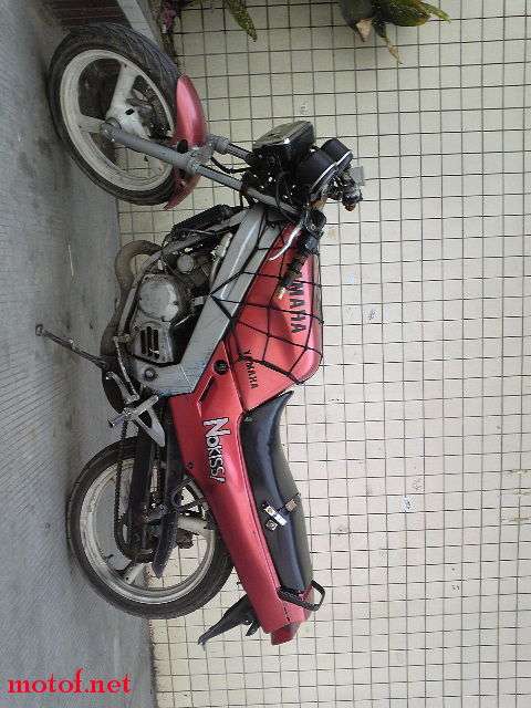 Tzr