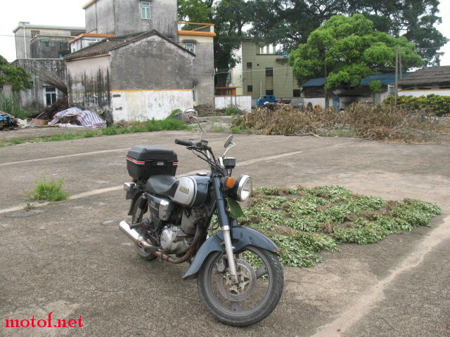 IMG_1138.JPG