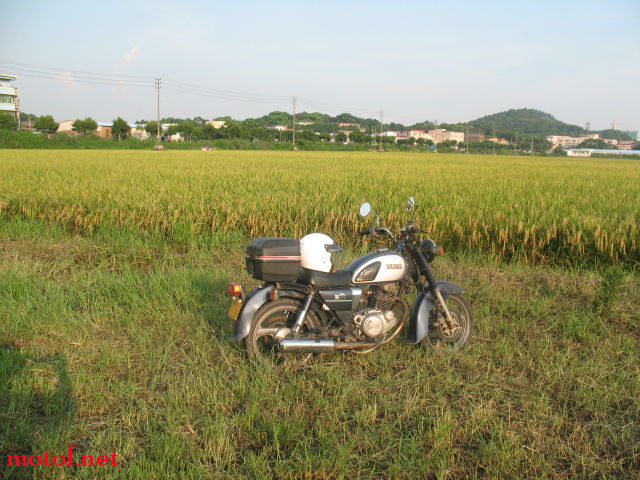 最是一年好风景，又是禾黄米熟时