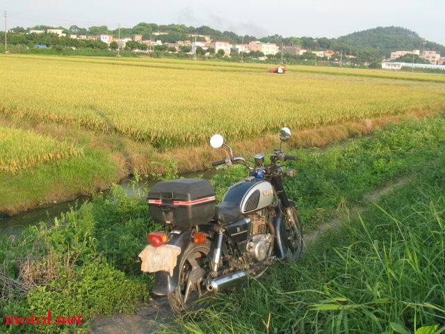 老夫年轻时，也曾躬耕大地，夜读禁书。