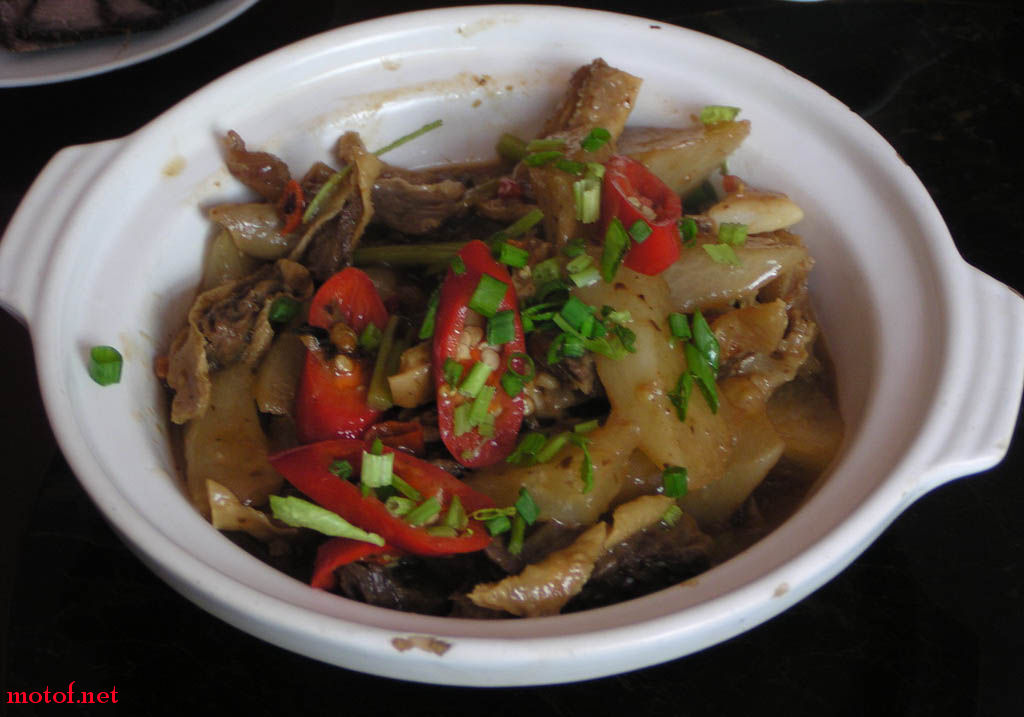 P1010098_调整大小.JPG