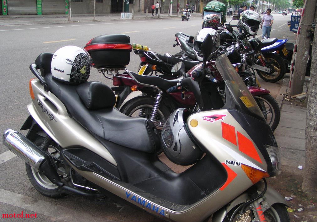 P1010001.jpg