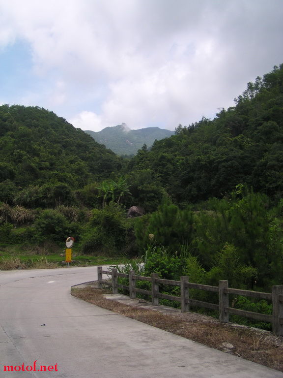 蓝天、白云、绿色丛林