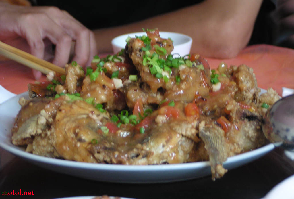 P1010102_调整大小.JPG