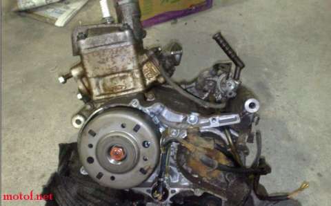 NSR50