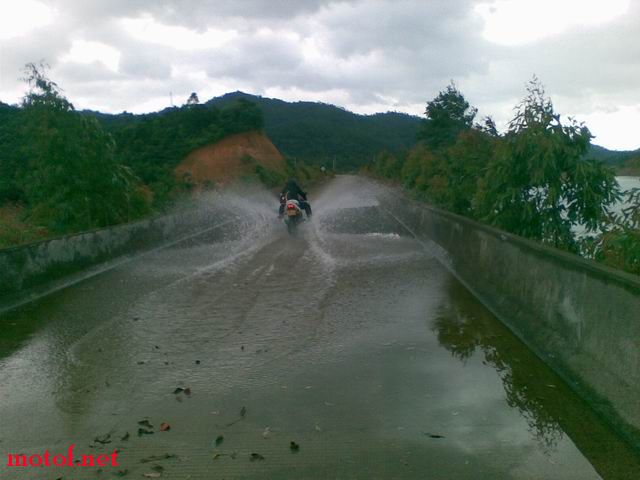 冲啊黄蜂