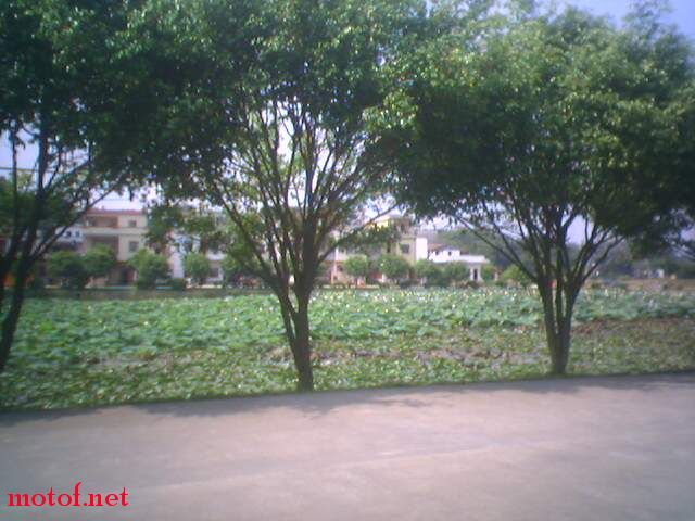 未命名46.jpg