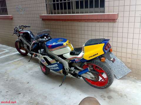 三仔