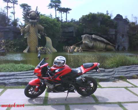 CBR29
