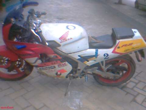FZR250-R尸体