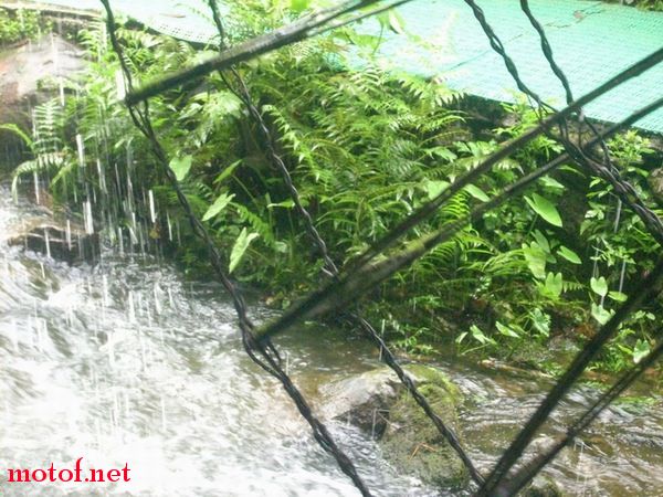 DSCN1984.jpg