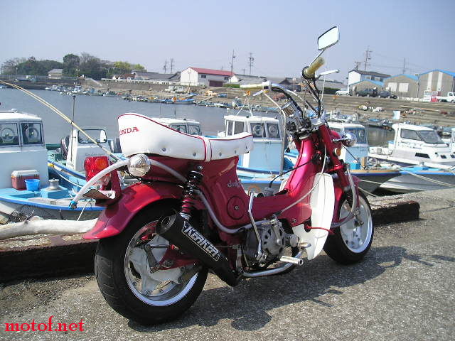 090603171897cb7cc819146c99.jpg