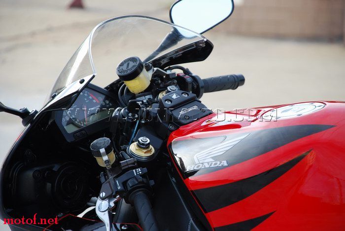 20090724_60499c4a55946e199446YVLMqEDhxhCk[1].jpg