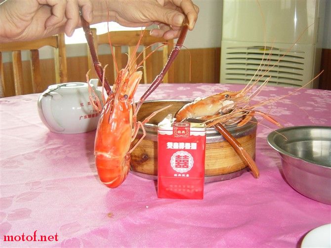 好爽啊