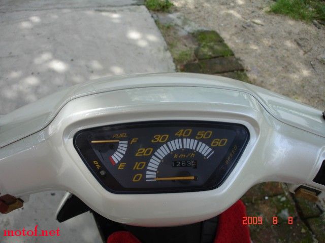 153165.jpg