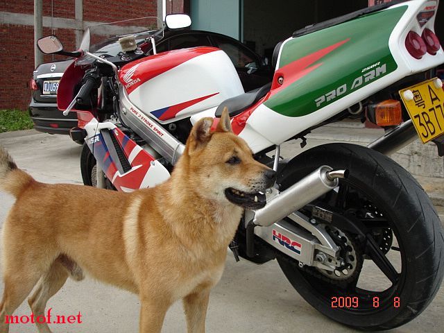 DSC05141.JPG