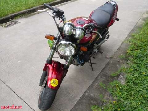 06黄蜂250