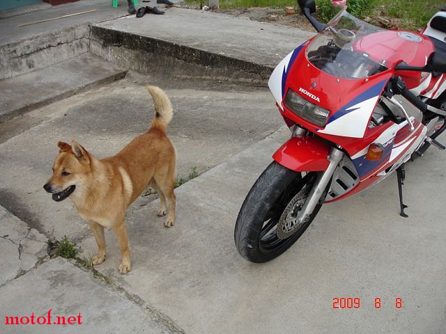 DSC05144.JPG