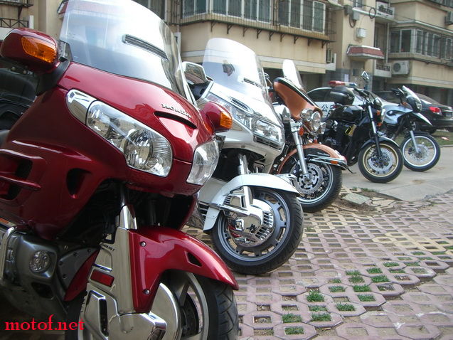 09071202205f1bab145e7c8c54.jpg