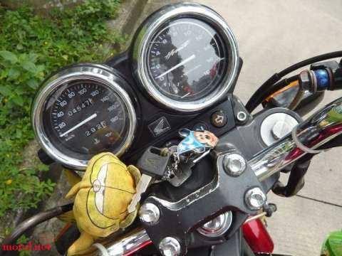 06黄蜂250