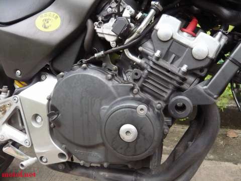 06黄蜂250