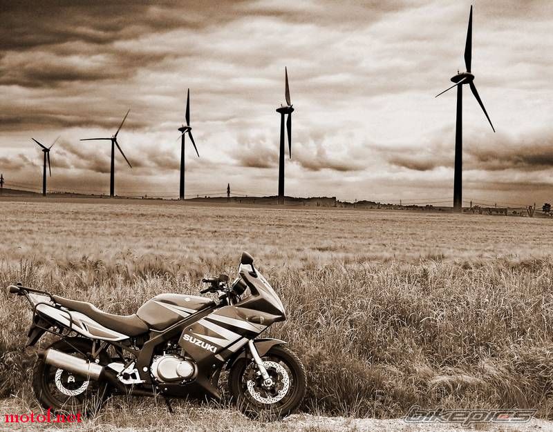 bikepics-956518-800.jpg