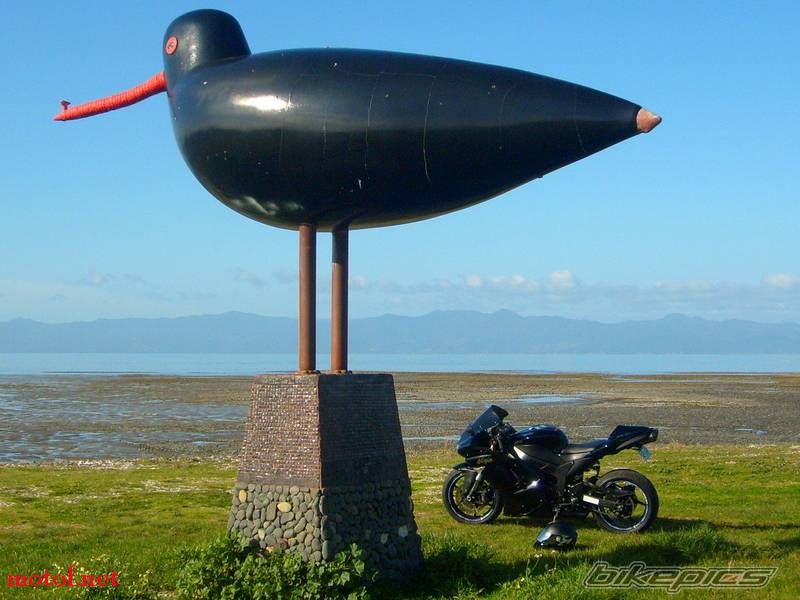 bikepics-1750374-800.jpg