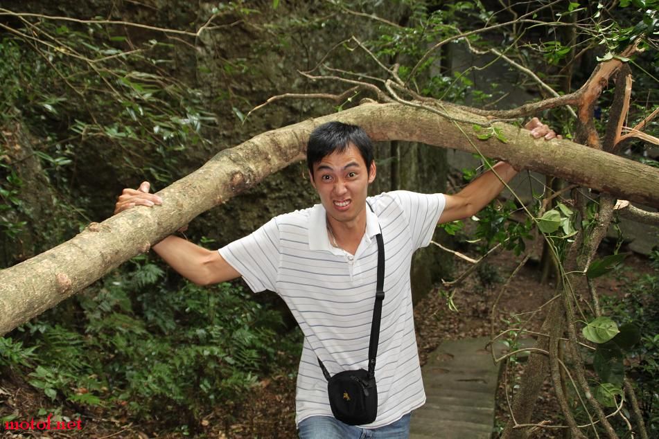 自由的力量真的吓死人了!居然