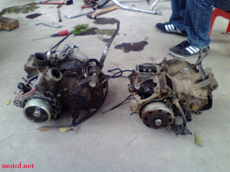 IMG0098A.jpg