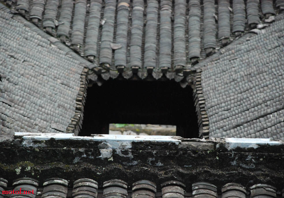 DSC_0073.JPG