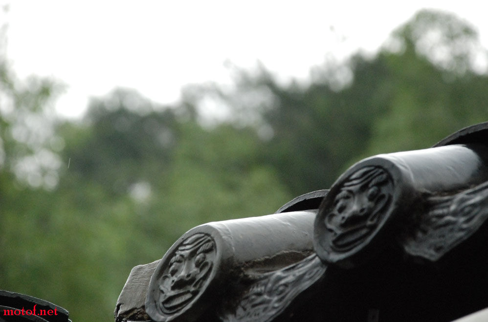 DSC_0177.JPG