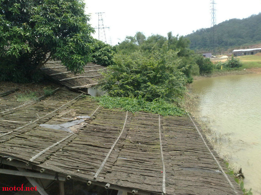 20090816750.jpg