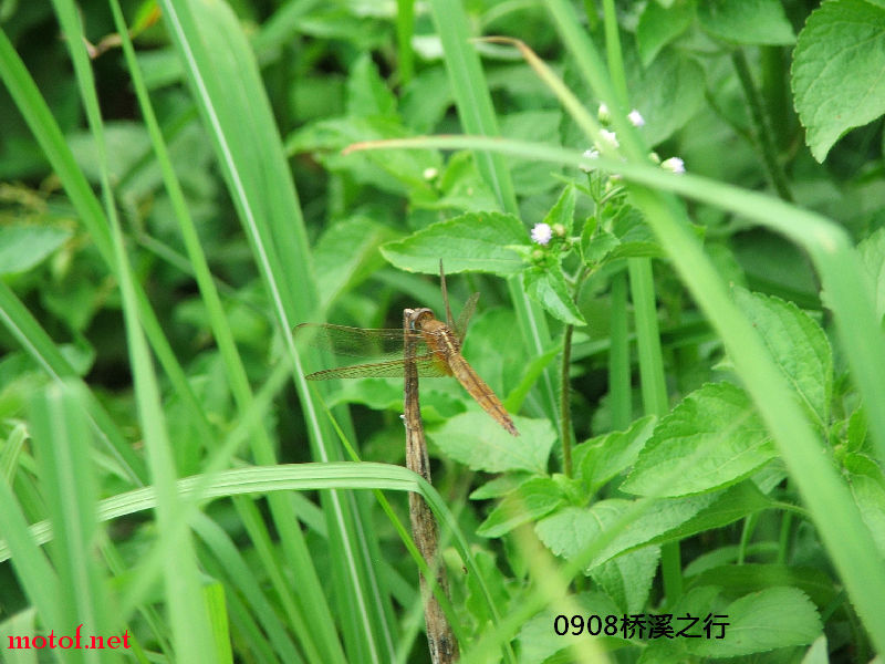 image062.jpg