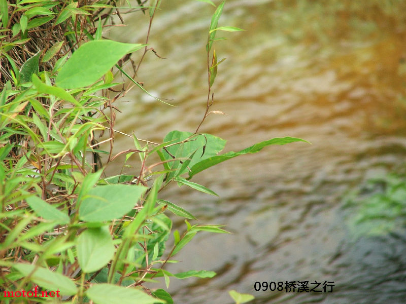 image033.jpg