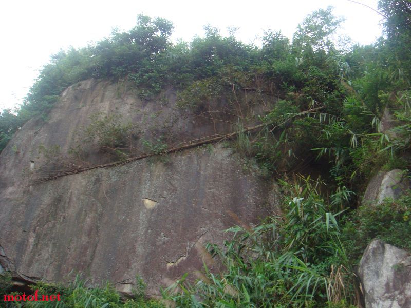 DSC02222.jpg