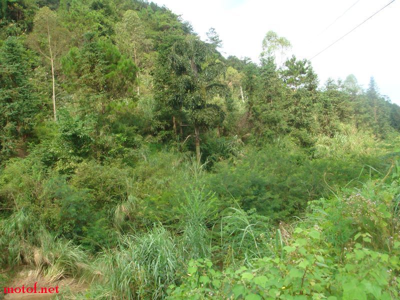DSC02165.jpg