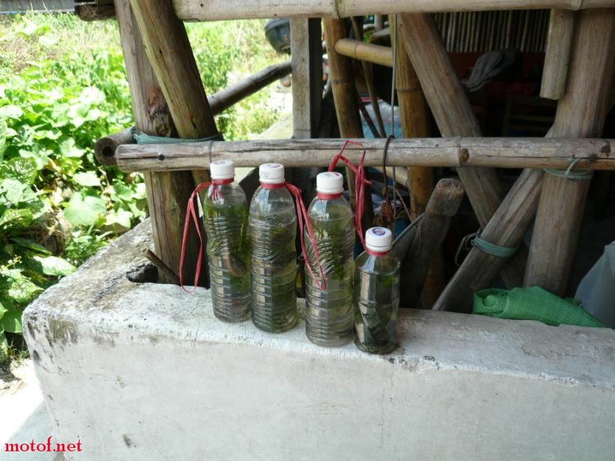 俺在刚才有大鱼的地方捉多次尝试那些小鱼，未果，但小朋友们却战果累累啊！