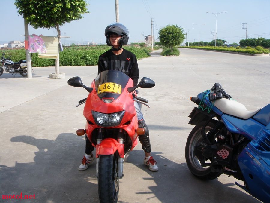 P8215863.jpg