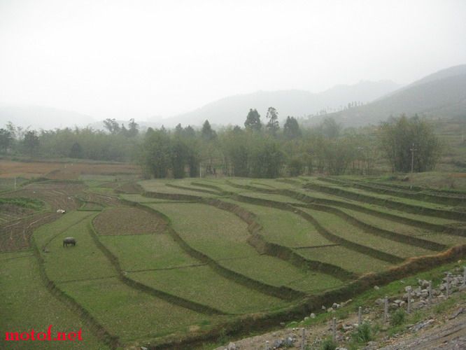 hsmoto_8_128_d126d73535c72de.jpg