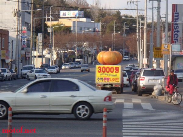 large_YNF0_153575i206091.jpg