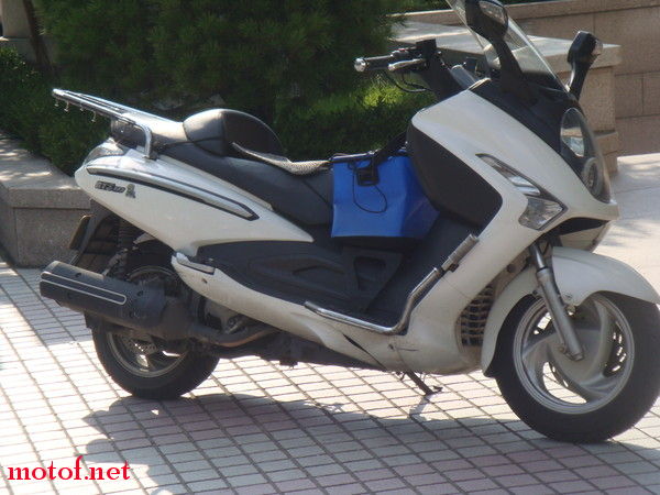 p_large_Krqd_6312g016061.jpg