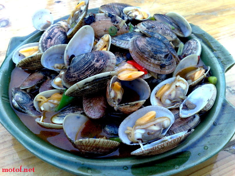 20090830494.jpg