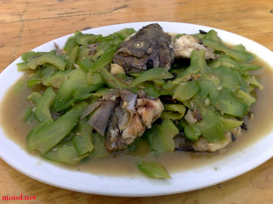 20090830444.jpg