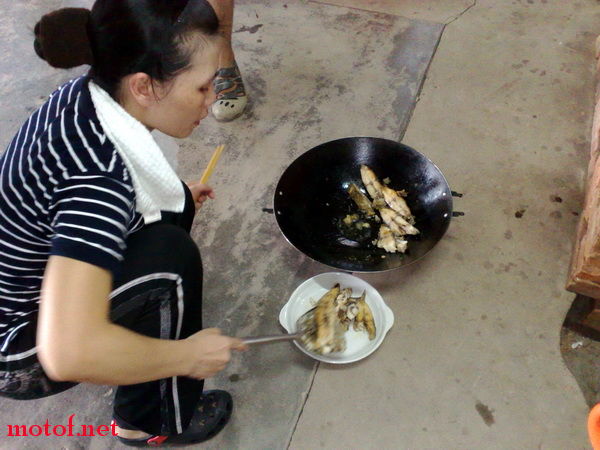 20090830461.jpg