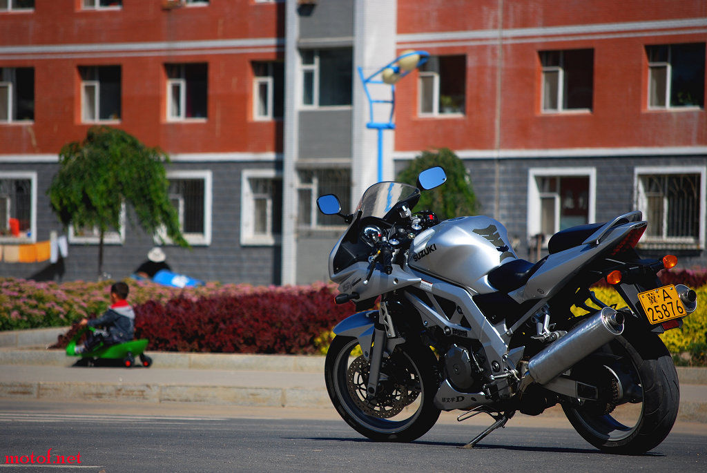 DSC_6108_nEO_IMG.jpg