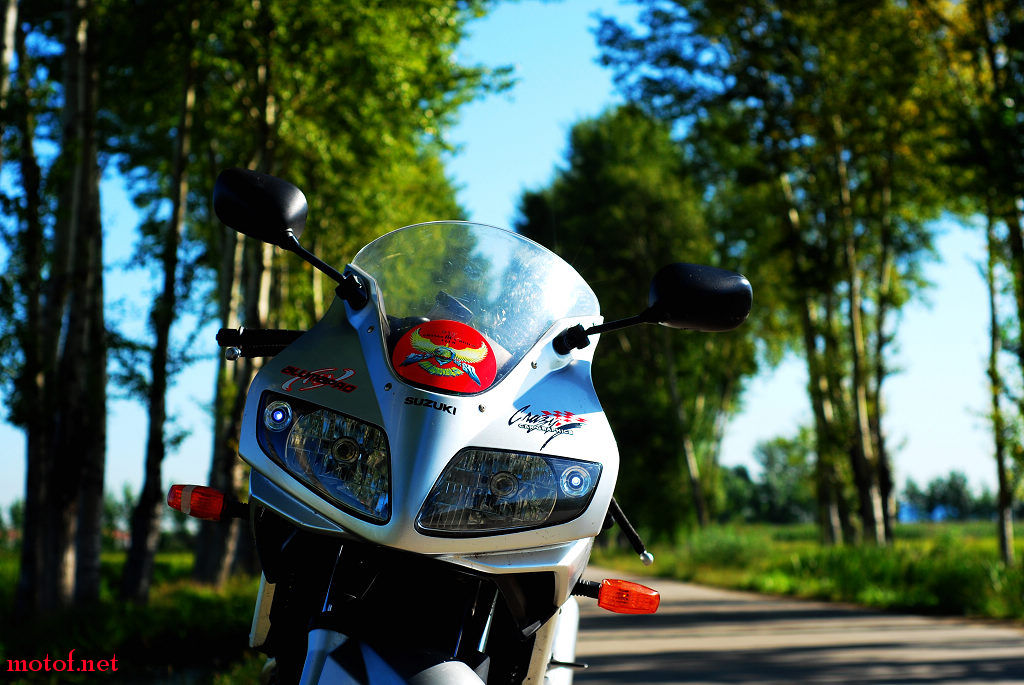 DSC_5862_nEO_IMG.jpg