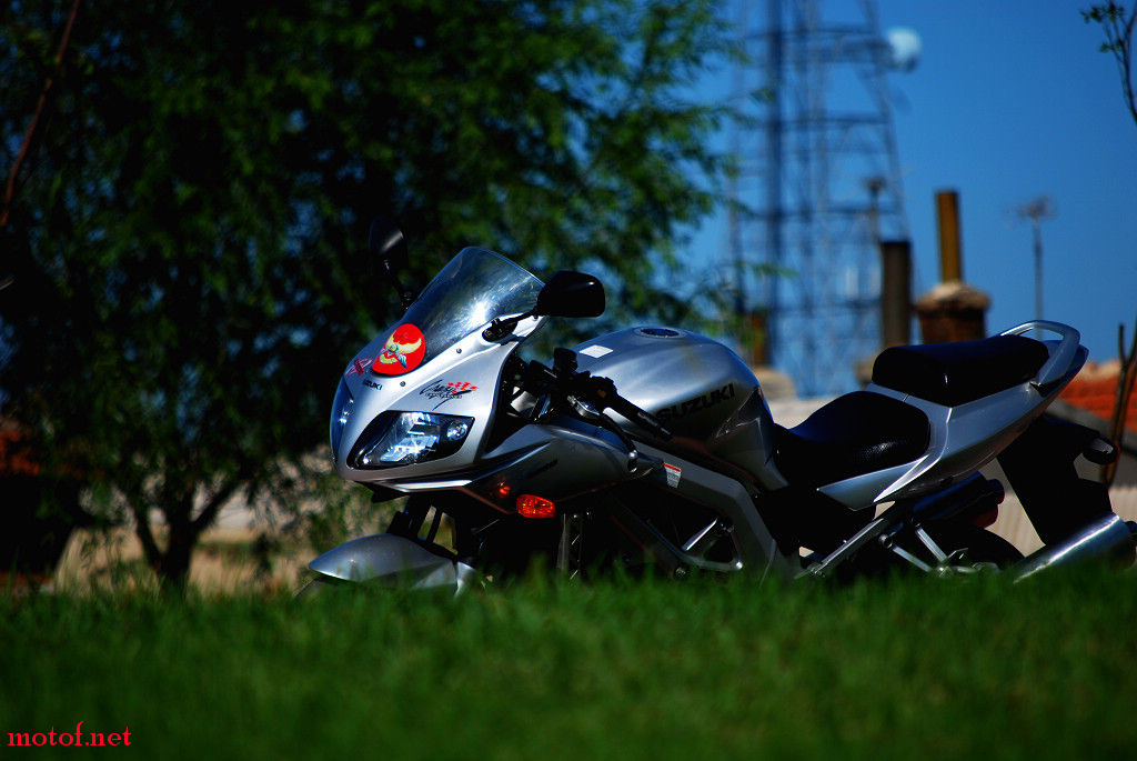 DSC_5968_nEO_IMG.jpg