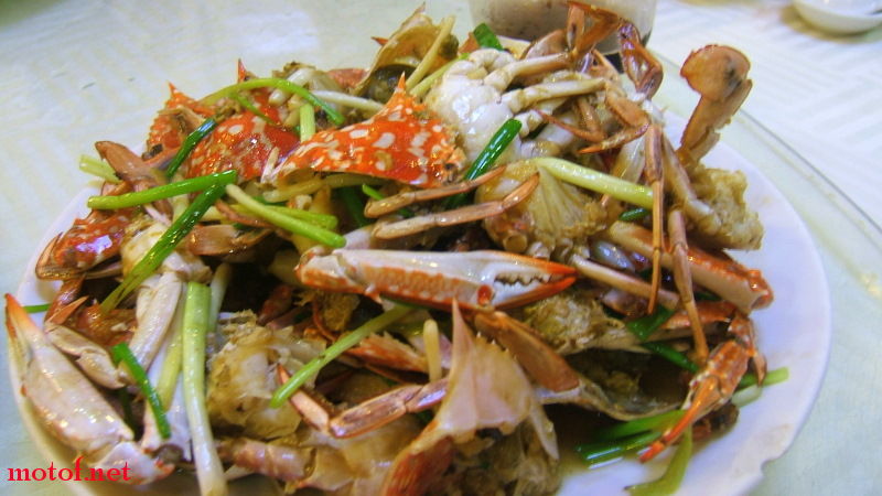 DSCF0695.JPG