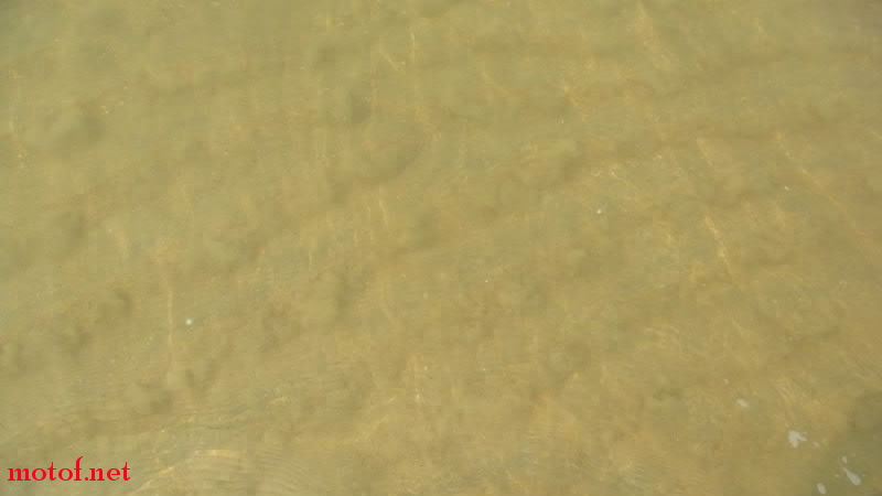 DSC01230-001.jpg