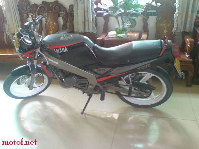 DSC00308.jpg